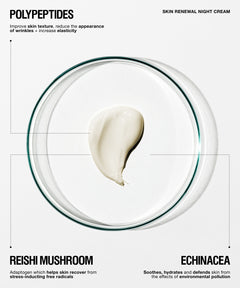 A skincare product infographic for Skin Renewal Night Cream featuring a dollop of off-white cream inside a clear glass petri dish on a light gray background, with text highlighting key ingredients: Polypeptides, Reishi Mushroom, and Echinacea.