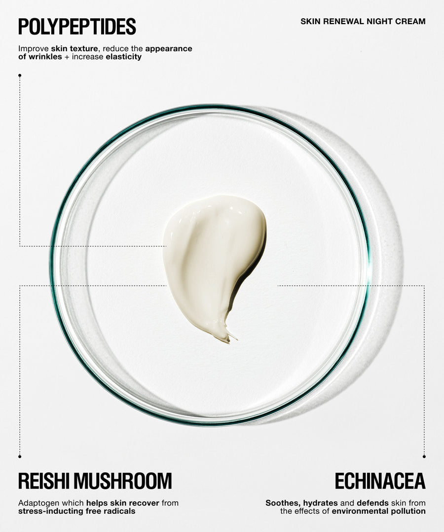 A skincare product infographic for Skin Renewal Night Cream featuring a dollop of off-white cream inside a clear glass petri dish on a light gray background, with text highlighting key ingredients: Polypeptides, Reishi Mushroom, and Echinacea.