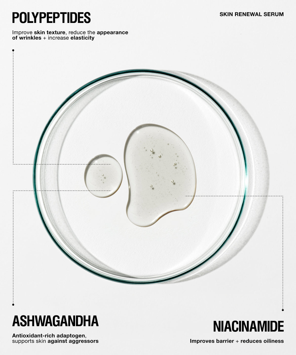 A clean, minimalist infographic-style product presentation for Polypeptides Skin Renewal Serum. The central visual is a clear glass petri dish containing a transparent, gel-like serum, set against a solid white background.