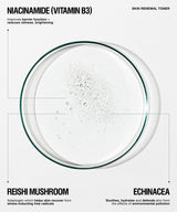 A clear circular petri dish containing a bubbly transparent liquid, centered on a white background with text reading 'NIACINAMIDE (VITAMIN B3)' and 'SKIN RENEWAL TONER,' plus ingredient callouts for reishi mushroom and echinacea.