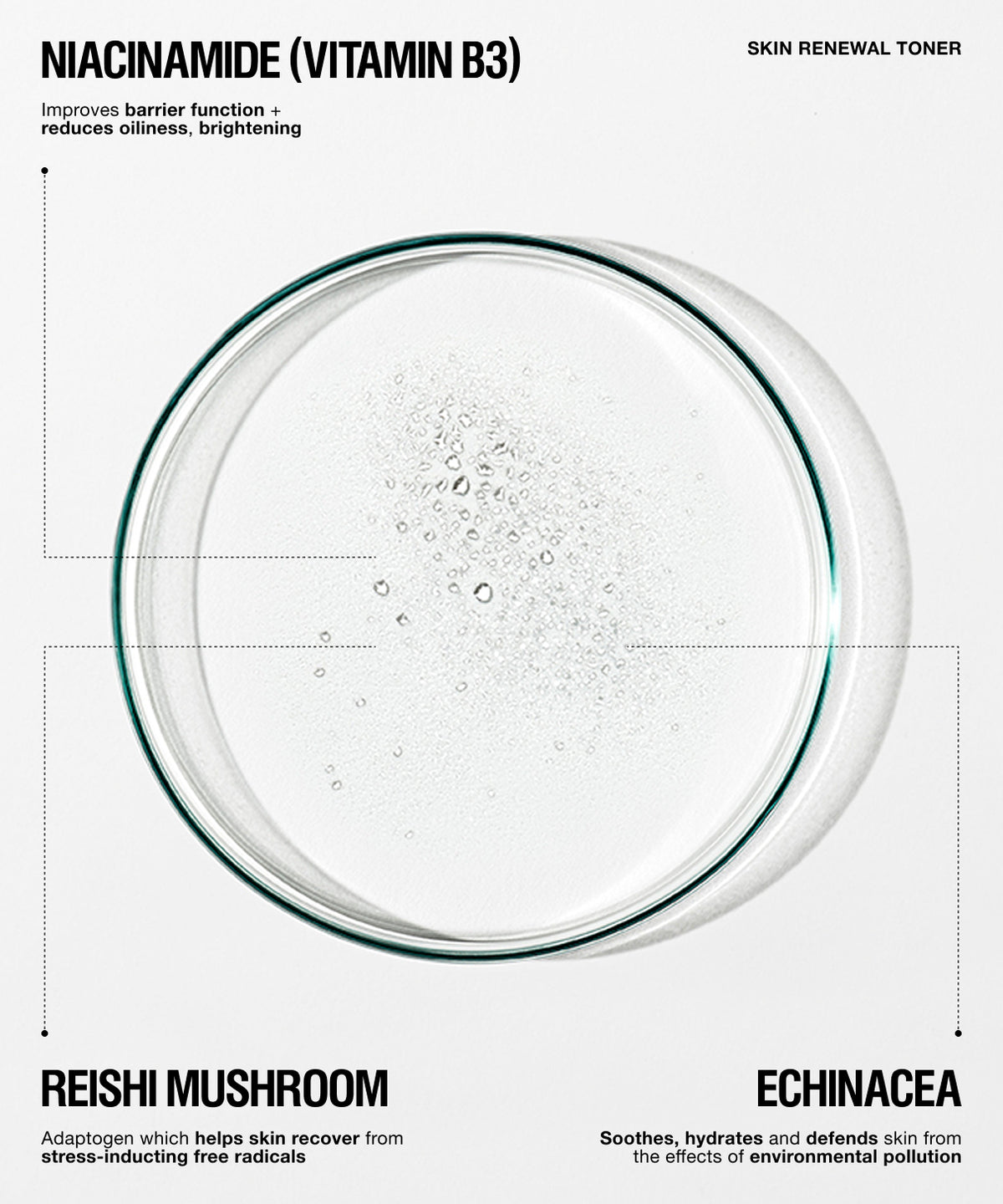 A clear circular petri dish containing a bubbly transparent liquid, centered on a white background with text reading 'NIACINAMIDE (VITAMIN B3)' and 'SKIN RENEWAL TONER,' plus ingredient callouts for reishi mushroom and echinacea.