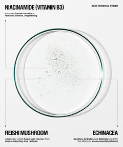 A clear circular petri dish containing a bubbly transparent liquid, centered on a white background with text reading 'NIACINAMIDE (VITAMIN B3)' and 'SKIN RENEWAL TONER,' plus ingredient callouts for reishi mushroom and echinacea.