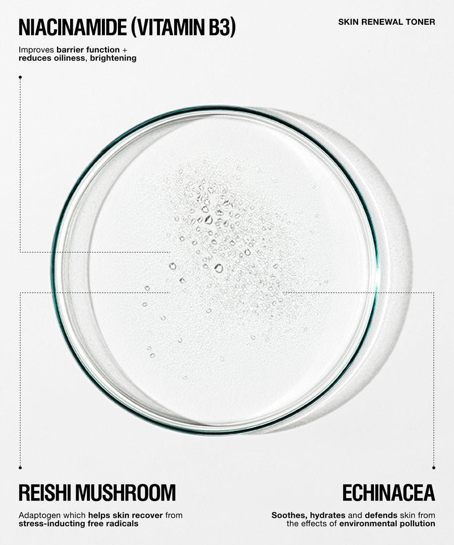 A clear circular petri dish containing a bubbly transparent liquid, centered on a white background with text reading 'NIACINAMIDE (VITAMIN B3)' and 'SKIN RENEWAL TONER,' plus ingredient callouts for reishi mushroom and echinacea.