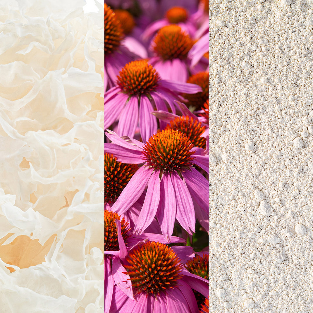 Close-up of pink flowers with orange centers on a textured surface.