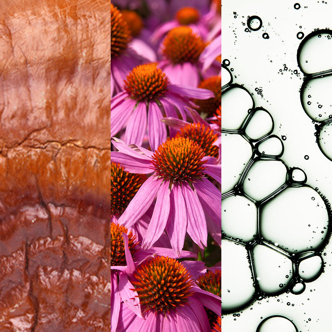 Collage of three images: textured brown surface, pink flowers with orange centers, and black and white bubbles.