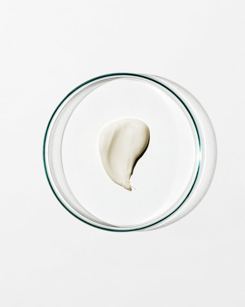 Glass bowl with a single scoop of white cream on a light gray background