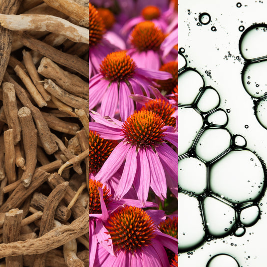 Three different images: dried herbs, pink flowers with orange centers, and black and white bubbles.