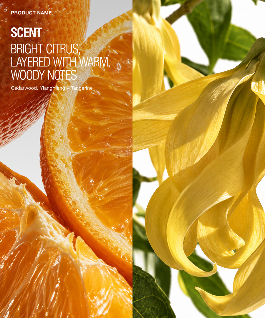 Scent profile graphic for a citrus and floral fragrance, split vertically: the left half shows close-up orange slices with white text reading 'PRODUCT NAME,' 'SCENT,' 'BRIGHT CITRUS, LAYERED WITH WARM WOODY NOTES,' and 'Cedarwood, Yangmei and Tangerine.' The right half shows large pale yellow flower petals with green leaves against a white background.