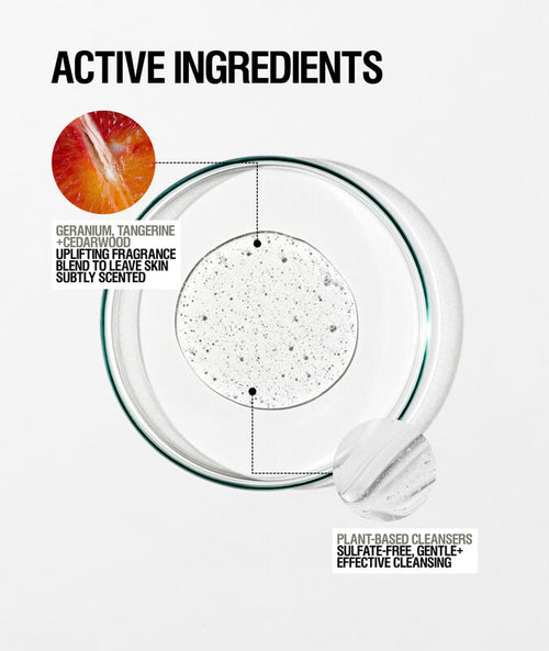 Revive Body Cleanser + 1L Refill Pouch Bundle