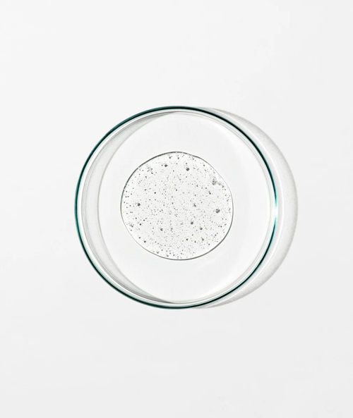 [Travel Size] Body Cleanser: Chamomile, Bergamot, Rose (50mL)