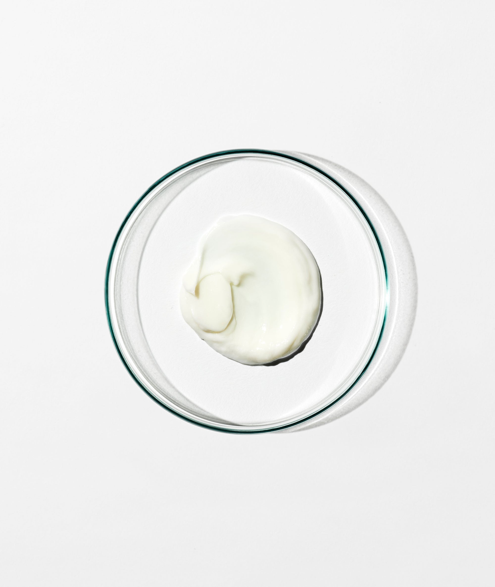 Conditioner: Damask Rose, Chamomile, Lavender Stem - 500mL