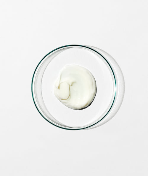 Conditioner: Damask Rose, Chamomile, Lavender Stem - 500mL