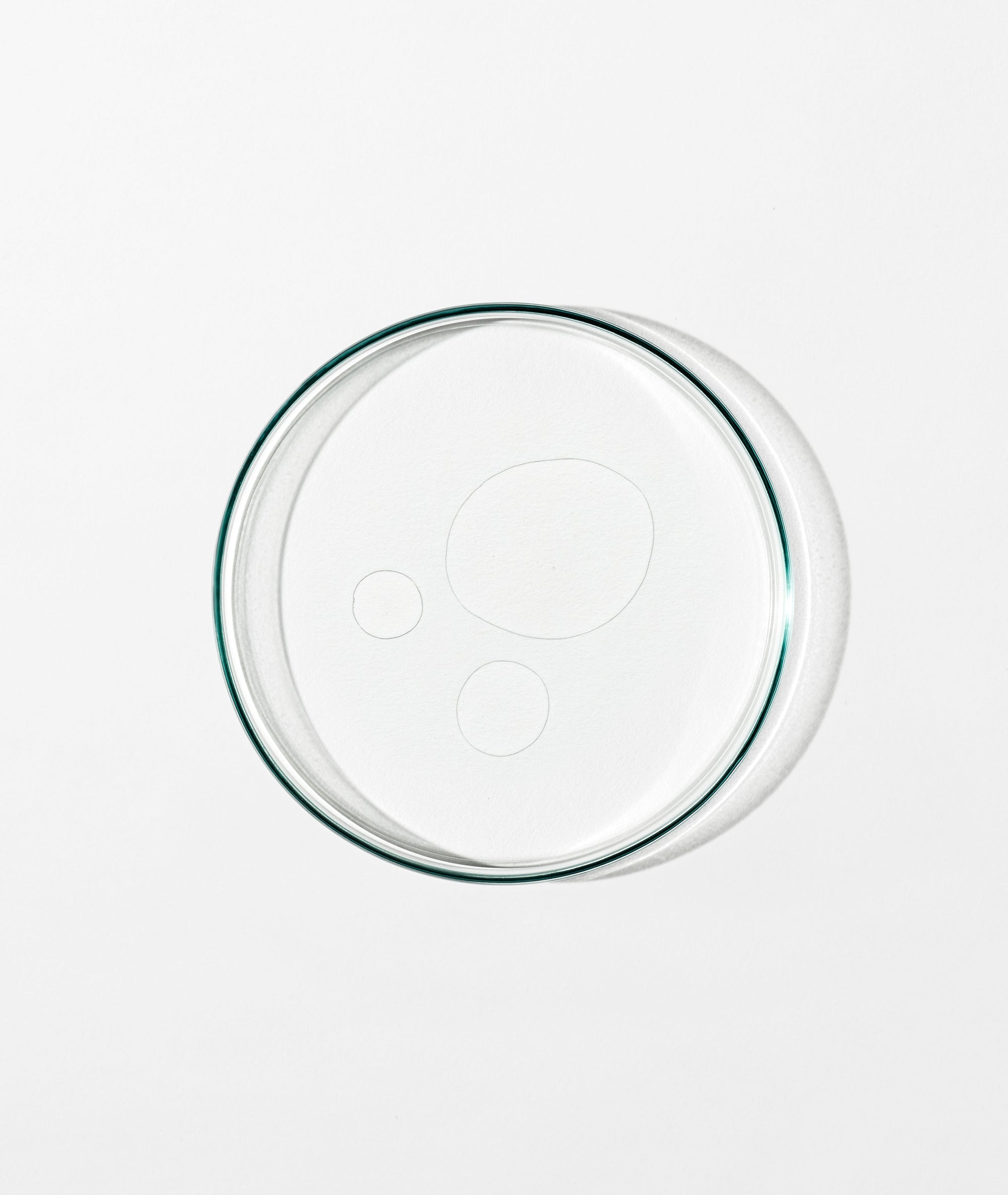 Cleanser + Toner Bundle