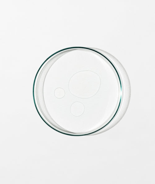 Cleanser + Toner Bundle